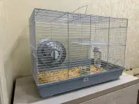 Продается хомяк, фотография 6