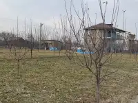 ПРОДАЁТСЯ ДАЧА!, область. Нурафшон(Бывшая туйтепа) Дачи Акмаль Икром, фотография 12