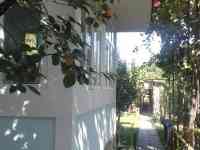 Продается кирпичный дом с участком 8 соток в Зангиатинском районе, фотография 2