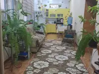 СРОЧНО ПРОДАЕТСЯ УЧАСТКА, Мирзо Улугбекский раён Цалковский, фотография 4