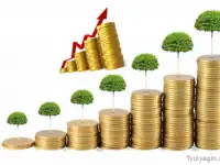 Приглашаем инвесторов