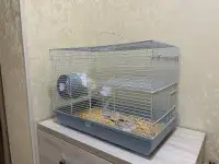 Продается хомяк