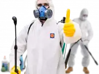 Услуги Дезинфекция, фотография 5