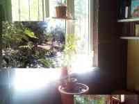 Своя 2/2/4 Ялангач, фотография 5