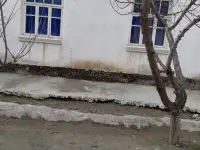 Срочно продам,  (дурмон)