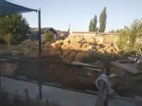 Продажа Ферма Дача, ТашОбл Юкори Чирчик Янги Бозор дахаси, фотография 5