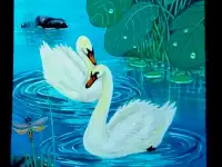 Продажа картин, фотография 12