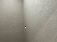 Ремонт под ключ., фотография 4