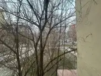 234 Ц-5 Пожарка !Лучшее предложение, фотография 4