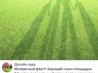 Комплексный уход за газоном и Хвойными, фотография 7