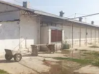 10 га Новый Ташкент, фотография 7