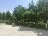 Аренда помещений, Шайхонтохурский район, фотография 2