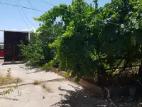 Продаётся дачный участок, фотография 9