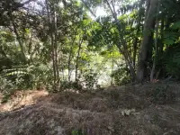 ул.Чинабад,р.Бозсу,4-комн,2-этажа,10-соток,182 м²,бассейн,сад, фотография 9