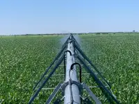 Дождевальный комплекс. (ФРЕГАТ)., фотография 2