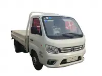 FATON  Gratour TM300 2 SEATS    2 местный, фотография 3
