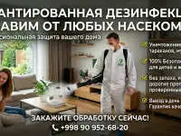 Уничтожение насекомых. Гарантия 100