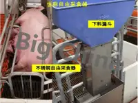 Оборудование Big Ducthman для свинокомплекса по выращиванию свиней из Китайского производителя., фотография 6