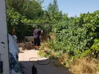 Продаётся дачный участок, фотография 10