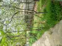 Продажа отличного дома, Населённый пункт нурли замин