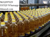 Масло подсолнечное оптом - ГК Юг Руси