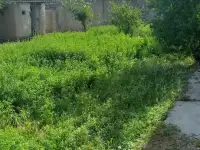 Продаётся, дом!, Город самарканд,пастдаргомский район посёлок Караганда! Орентир 72 школа!, фотография 10