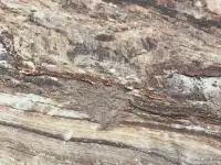 Каменный шпон, фотография 11