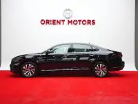 Volkswagen Passat L430 Phev Luxury, фотография 3