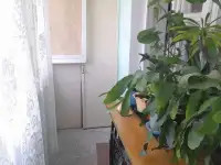 Продам большую 2-х ком. квартиру в Чирчике 10-м/р, фотография 7