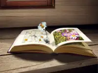 жизнь книга помогаем записать, фотография 6
