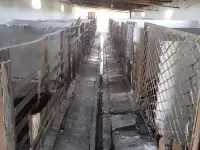 Продается ферма, фотография 3