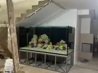 Чистка и обслуживание пресноводных и морских  аквариумов, фотография 2