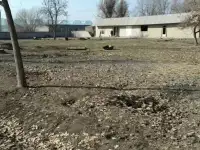 Сирдаре сувни буйида ер сотилади, Сирдарё вилояти Сирдарё тумани Шоликор МСГ, ул. Донгдор, дом 9, фотография 3