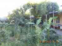 Участок, Ташкентская район , ул.Зиёкорлар 5 а, фотография 2