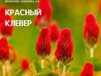 Капсулы Красный клевер при менопаузе, Swiss Nahrin, Швейцария, фотография 5