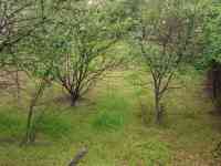 Продаётся дача, Уртасарай