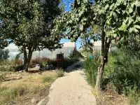 Продажа земли сельскохозяйственного назначения, Toshkent viloyati, Yangiyo'l tumani, Qora tepa MFY, Guliston ko'chasi, 56-uy., фотография 2