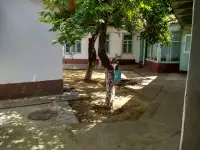 Продаётся дом в Алмазарском районе  Алмазарский район  ул. Абу Бакир Шоший ранее Ленточная, фотография 3