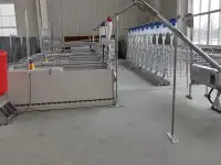 Оборудование  Big Dutchman для птицефабрики по выращиванию птиц из Китайского производителя , дешево и качественно!, фотография 8