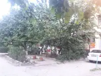 3х Комнатная Своя, 78м2, 1й этаж, серия 77, кирпич, фотография 5