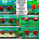 Террариум для грызунов модель № 1.(с двумя отсеками).