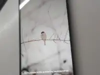 Продается игровой телефон Xiaomi 10T, фотография 3