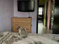 Ц-13, 3/6/9, Лабзак 35, фотография 6