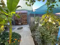 Продам свою Дачу 6 соток в Пскенте со всеми условиями и с техникой, фотография 4