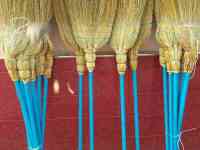 Веник сорго, фотография 6