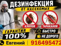 Дизъинфекцыя
