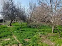 Продаётся Дом! Рядом всё необходимое: Школа, садик, магазины, автосервис!, фотография 11