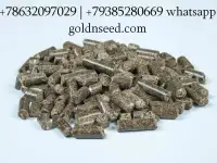 Шрот подсолнечный и соевый оптом - ГК Юг Руси