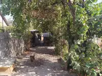 Дом участок 10 соток Сергели, ,район Янги хает, ул. Чартак д.31, фотография 4