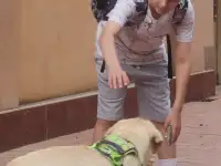 Отдам собаку в хорошие руки., фотография 4